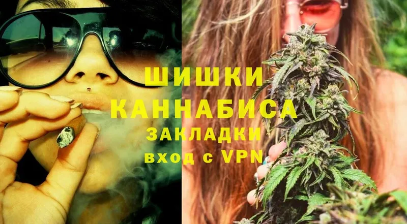 купить наркотик  Белокуриха  Шишки марихуана Ganja 